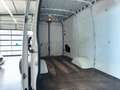 Iveco Daily Kasten 70C18 H2L5*Autom*SpurH*RFK** Weiß - thumbnail 14