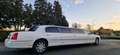 Lincoln Town Car stretch limo / limousine 2006 Wit - thumbnail 1