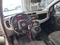 Fiat Panda 1.2 Young Weiß - thumbnail 5