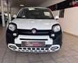 Fiat Panda 1.2 Young Weiß - thumbnail 3