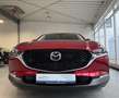 Mazda CX-30 Centre-Line 2WD Autom., *LED *Navi *Kamera *HuD *A Rot - thumbnail 29