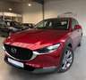 Mazda CX-30 Centre-Line 2WD Autom., *LED *Navi *Kamera *HuD *A Rot - thumbnail 33
