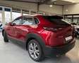 Mazda CX-30 Centre-Line 2WD Autom., *LED *Navi *Kamera *HuD *A Rot - thumbnail 5