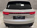 Porsche Cayenne Basis*VOLL FAHBEREIT*59.270km*TOP PREIS* Weiß - thumbnail 10