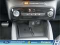 Ford Kuga Titanium 1.5 EcoBoost Navi digitales Cockpit LED K Schwarz - thumbnail 19