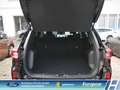 Ford Kuga Titanium 1.5 EcoBoost Navi digitales Cockpit LED K Schwarz - thumbnail 24