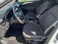 Ford Focus 1.0 Ecoboost MHEV 92kW Trend+ SB Blanc - thumbnail 12