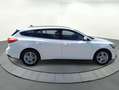 Ford Focus 1.0 Ecoboost MHEV 92kW Trend+ SB Blanc - thumbnail 7