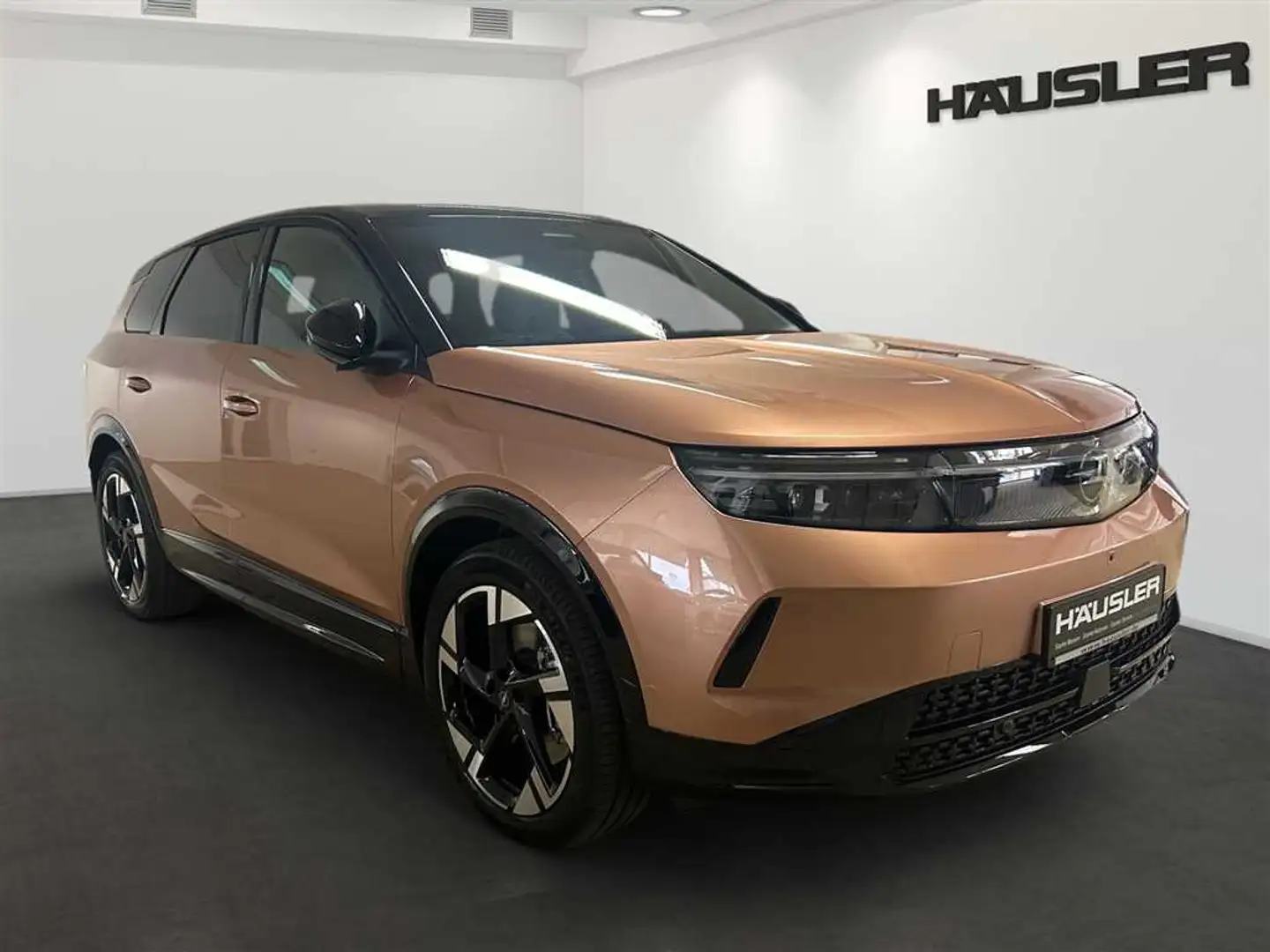 Opel Grandland X 2025 Electric GS *360° Kamera*Navi*Panoramaschiebe Bronze - 2