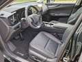 Lexus NX 350h Executive Line AWD Pano Interieur/Tech.paket siva - thumbnail 5