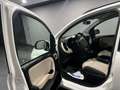 Fiat Panda 1.2 69 CV Lounge. UNICO PROPRIETARIO Weiß - thumbnail 5
