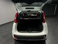 Fiat Panda 1.2 69 CV Lounge. UNICO PROPRIETARIO Weiß - thumbnail 11