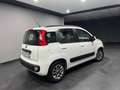 Fiat Panda 1.2 69 CV Lounge. UNICO PROPRIETARIO Weiß - thumbnail 4