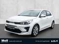 Kia Rio Vision Klimaautom DAB SHZ LenkradHZG Spurhalteass. Weiß - thumbnail 1