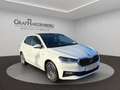 Skoda Fabia Selection TSI DSG Navi LED Panoramadach Weiß - thumbnail 8