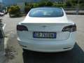 Tesla Model 3 Model 3 Long Range RWD Weiß - thumbnail 6