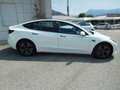 Tesla Model 3 Model 3 Long Range RWD Weiß - thumbnail 4