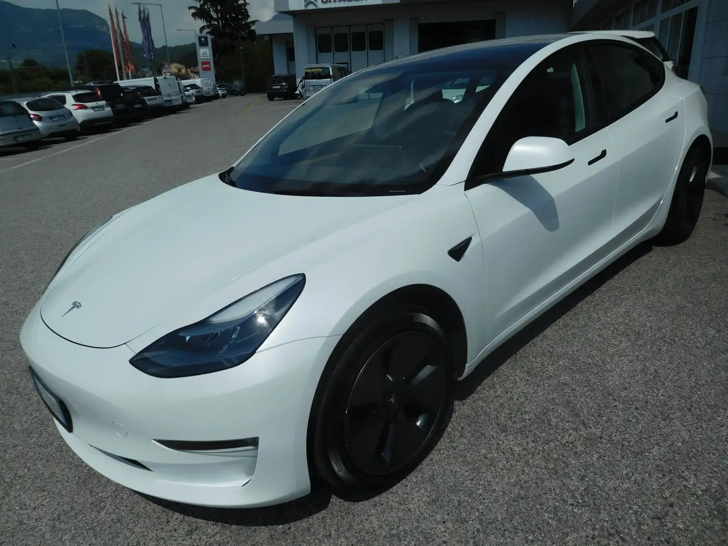 Tesla Model 3 Model 3 Long Range RWD Weiß - 1