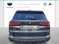 BMW X5 xDrive30d M Sportpaket Head-Up HiFi DAB WLAN Grau - thumbnail 6