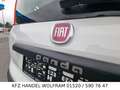Fiat Panda 1.2 Klima, Allwetter, NUR 1 HALTER EURO 6 Blanc - thumbnail 23