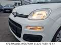 Fiat Panda 1.2 Klima, Allwetter, NUR 1 HALTER EURO 6 Blanc - thumbnail 11