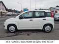 Fiat Panda 1.2 Klima, Allwetter, NUR 1 HALTER EURO 6 Blanc - thumbnail 4