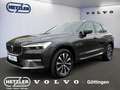 Volvo XC60 2WD Diesel B4 D Plus Bright AHK-klappbar Navi Digi Grau - thumbnail 1