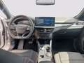 Ford Focus 1.5 ecoblue ST-Line 115cv auto Grau - thumbnail 6