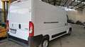 Peugeot boxer Bianco - thumbnail 5