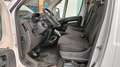Peugeot boxer Bianco - thumbnail 10