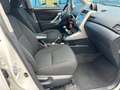 Toyota Verso 1.6 Active 7 posti-UNICO PROPRIETARIO-EURO5B Bianco - thumbnail 12