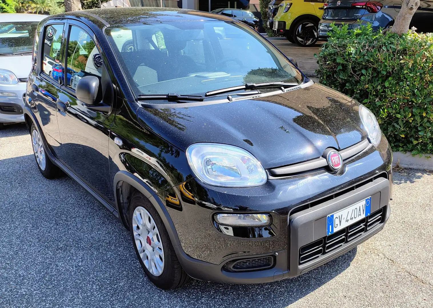 Fiat Panda 1.0 FireFly S&S Hybrid Nero - 2