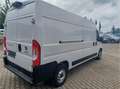 Fiat Ducato L4H2 EasyPro -Viel Extras-SOMO 2x verfügbar Weiß - thumbnail 3