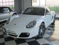 Porsche Cayman Cayman 2.9 S - TAGLIANDI PORSCHE Blanc - thumbnail 1