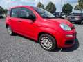 Fiat Panda Easy / Benzin / 5-Türer / Klima Rouge - thumbnail 4
