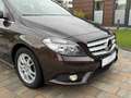Mercedes-Benz B 200 B 200 CDI Automatik *Navi*SHZ*PDC*Sitz-Komf-Paket* Marrone - thumbnail 5