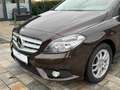 Mercedes-Benz B 200 B 200 CDI Automatik *Navi*SHZ*PDC*Sitz-Komf-Paket* Marrone - thumbnail 13