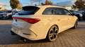 CUPRA Leon Sportstourer 2.0 TSI 4Drive DSG ACC PanoSD SpurAss Bianco - thumbnail 3