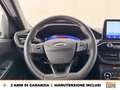 Ford Kuga 1.5 ecoblue st-line 2wd 120cv auto Blanc - thumbnail 17