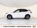 Ford Kuga 1.5 ecoblue st-line 2wd 120cv auto Blanc - thumbnail 3