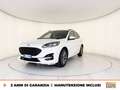 Ford Kuga 1.5 ecoblue st-line 2wd 120cv auto Blanc - thumbnail 1