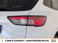 Ford Kuga 1.5 ecoblue st-line 2wd 120cv auto Blanc - thumbnail 15