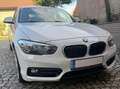 BMW 116 116d Sport Line Weiß - thumbnail 2