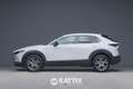 Mazda CX-30 2.0 m-Hybrid 122CV Exclusive Wit - thumbnail 2