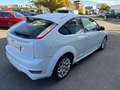 Ford Focus 1.8TDCi Trend Blanco - thumbnail 5