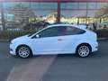 Ford Focus 1.8TDCi Trend Blanco - thumbnail 2