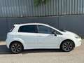 Fiat Punto 1,4 75 Easy | PICKERL BIS 12/2026 | Weiß - thumbnail 5