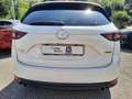 Mazda CX-5 CX-5 2.2 Exclusive awd 175cv auto Weiß - thumbnail 7