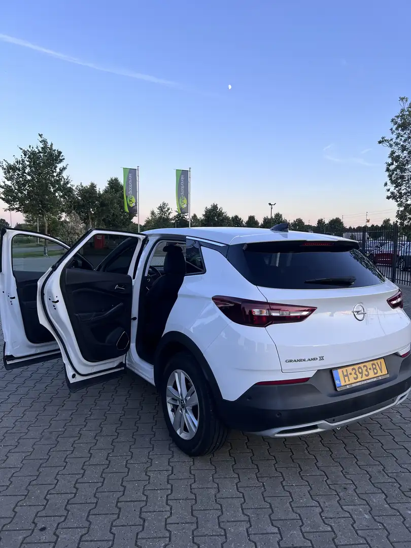 Opel Grandland X 1.2 Turbo Business Ex. Wit - 2