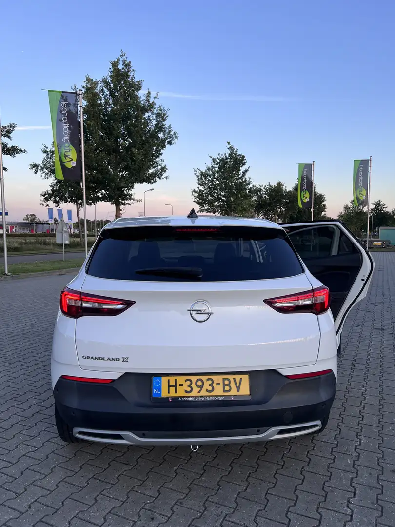 Opel Grandland X 1.2 Turbo Business Ex. Wit - 1